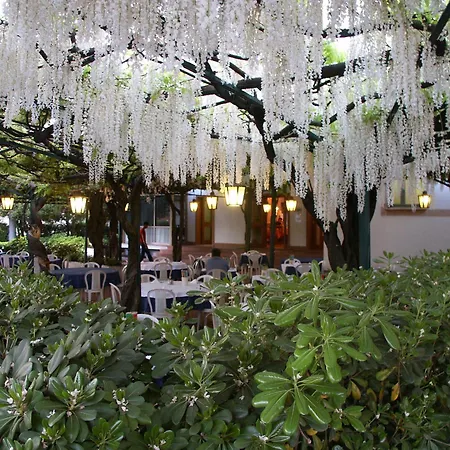 Hotel Ristorante Papa