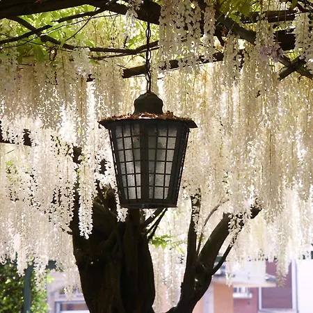 Hotel Ristorante Papa